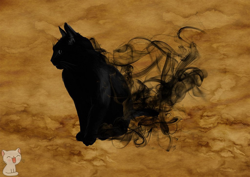 Silueta misteriosa de un gato negro.